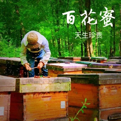 贵蜜传奇——贵州山区传家珍藏，自家蜂场呵护的天然甘露！